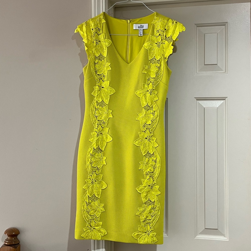 Belle Badgley Mischka Dress